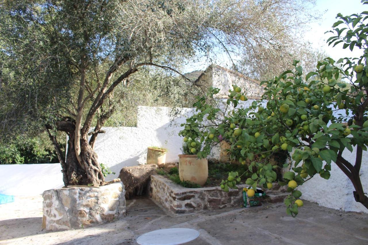 בית הארחה Viñuela 	Cortijo El Puente מראה חיצוני תמונה