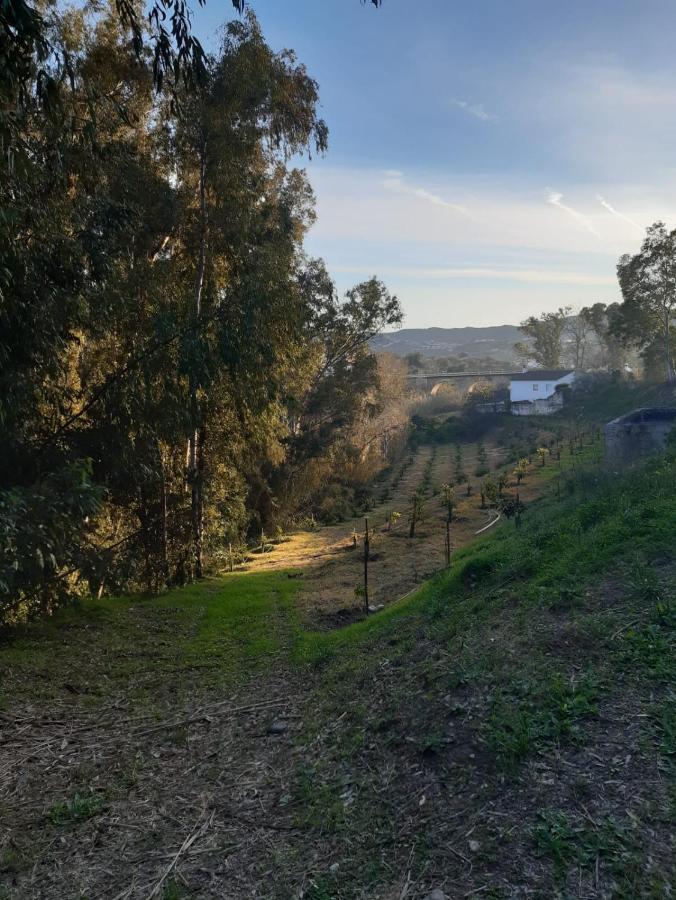 בית הארחה Viñuela 	Cortijo El Puente מראה חיצוני תמונה